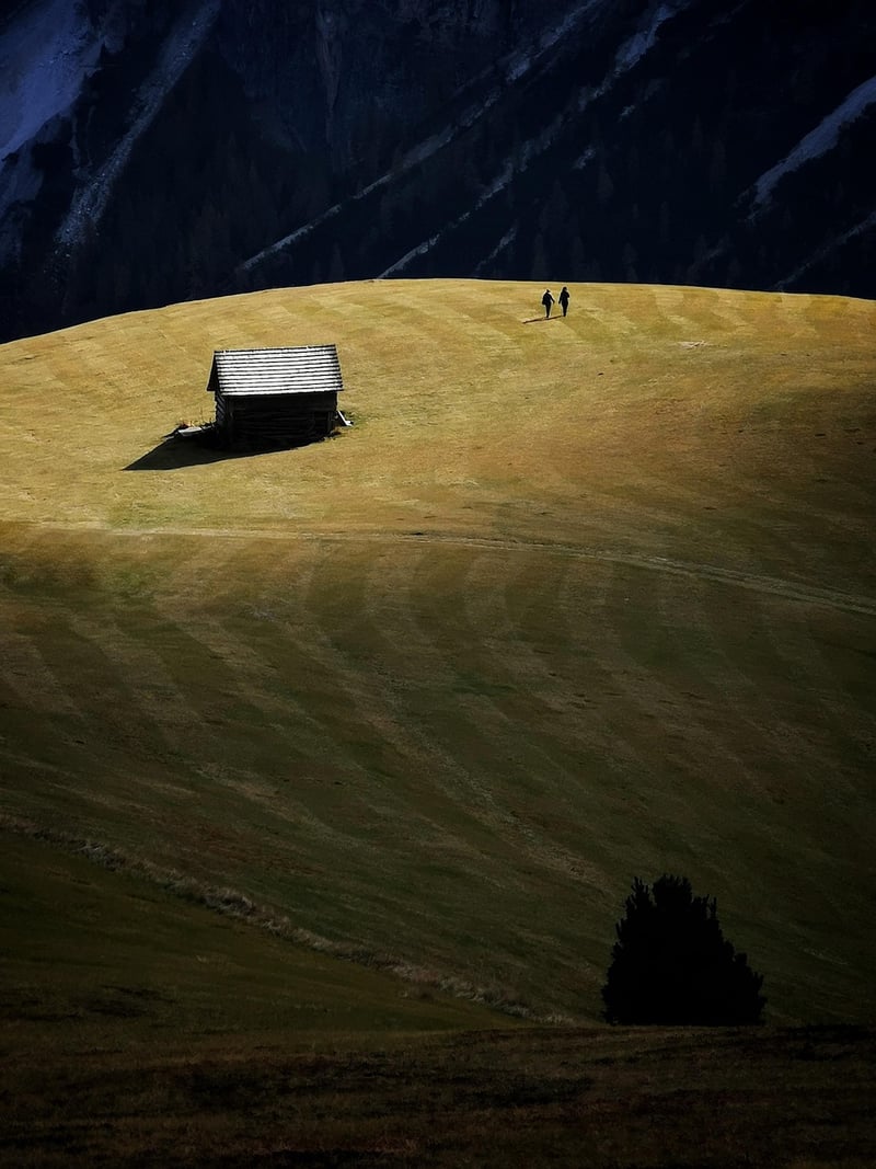 Mountain Cabins